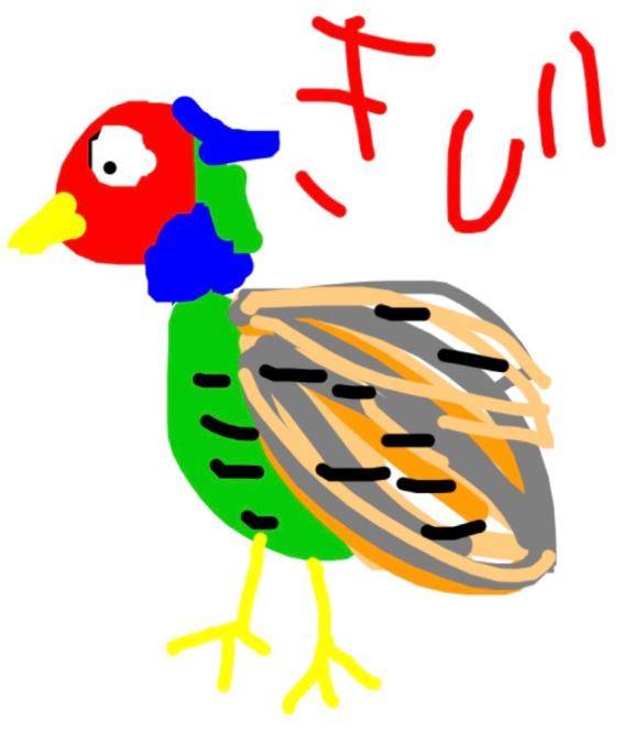 海堂けいこpicture