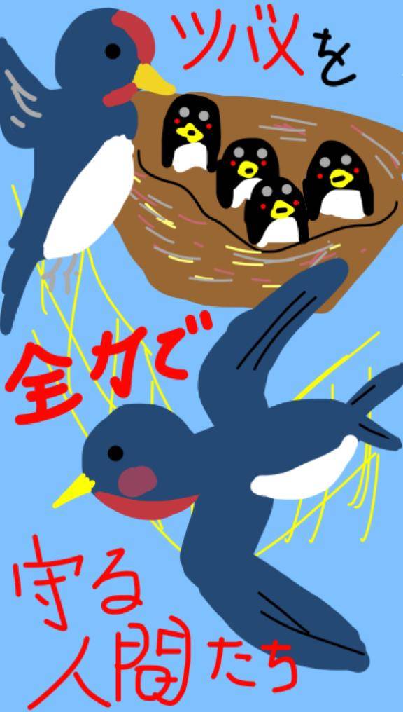 海堂けいこpicture