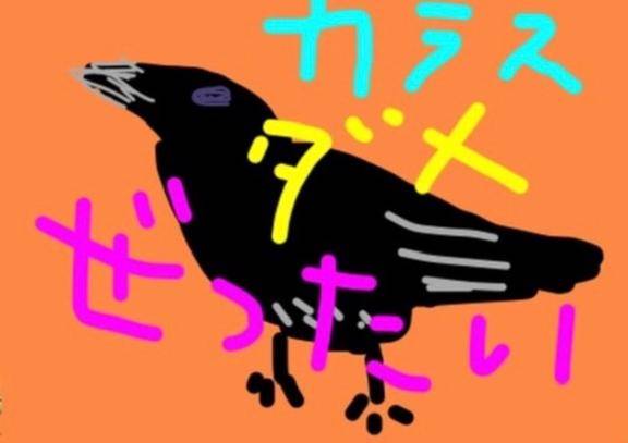 海堂けいこpicture