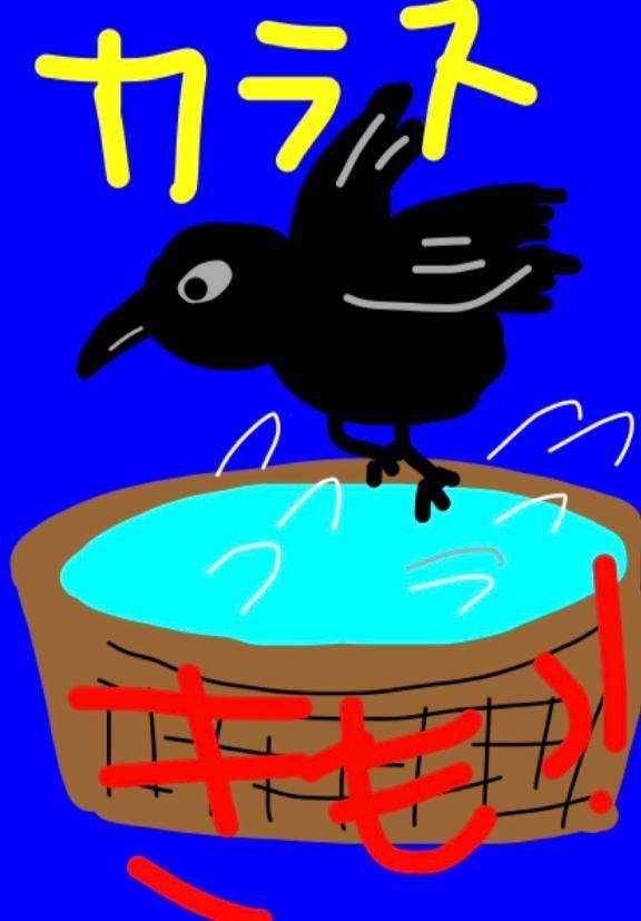 海堂けいこpicture