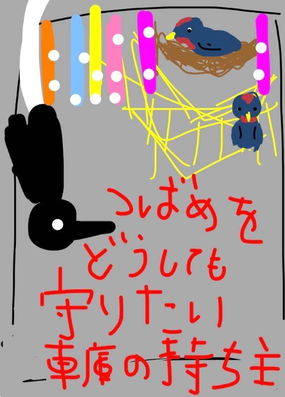 海堂けいこpicture