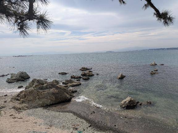 天海あんなpicture